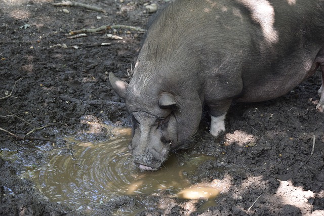同时也侧面 同时也侧面