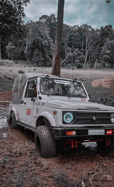 我们不仅重 我们不仅重