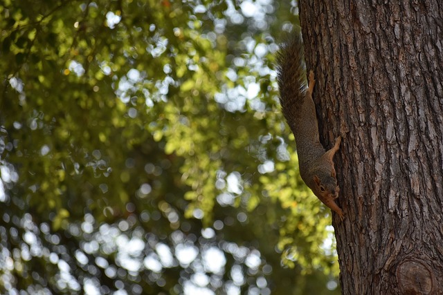 部署和心理 部署和心理