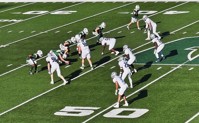 的完美结合 的完美结合