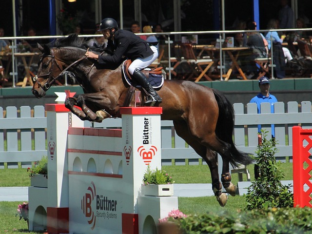 3结束了比 3结束了比